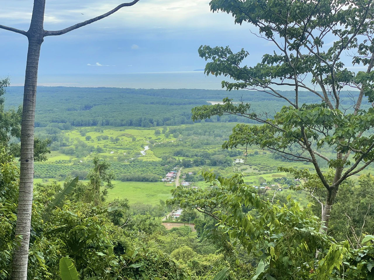 TROPICAL MASTERPIECE – 61.78 ACRES OF OCEANVIEW BLISS WITH WATERFALL: Mountain Development Parcel For Sale in Tres Rios