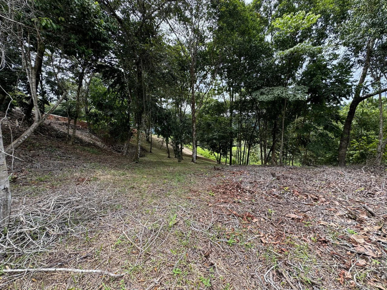 Diamante Waterfall View Land in Dominical 2.9 Acres - Gallery image 22