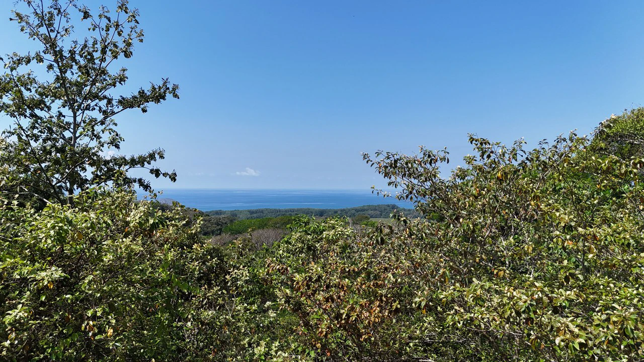 Exceptional Development Opportunity 71 acre Riverfront & Ocean View in Hatillo - Gallery image 10
