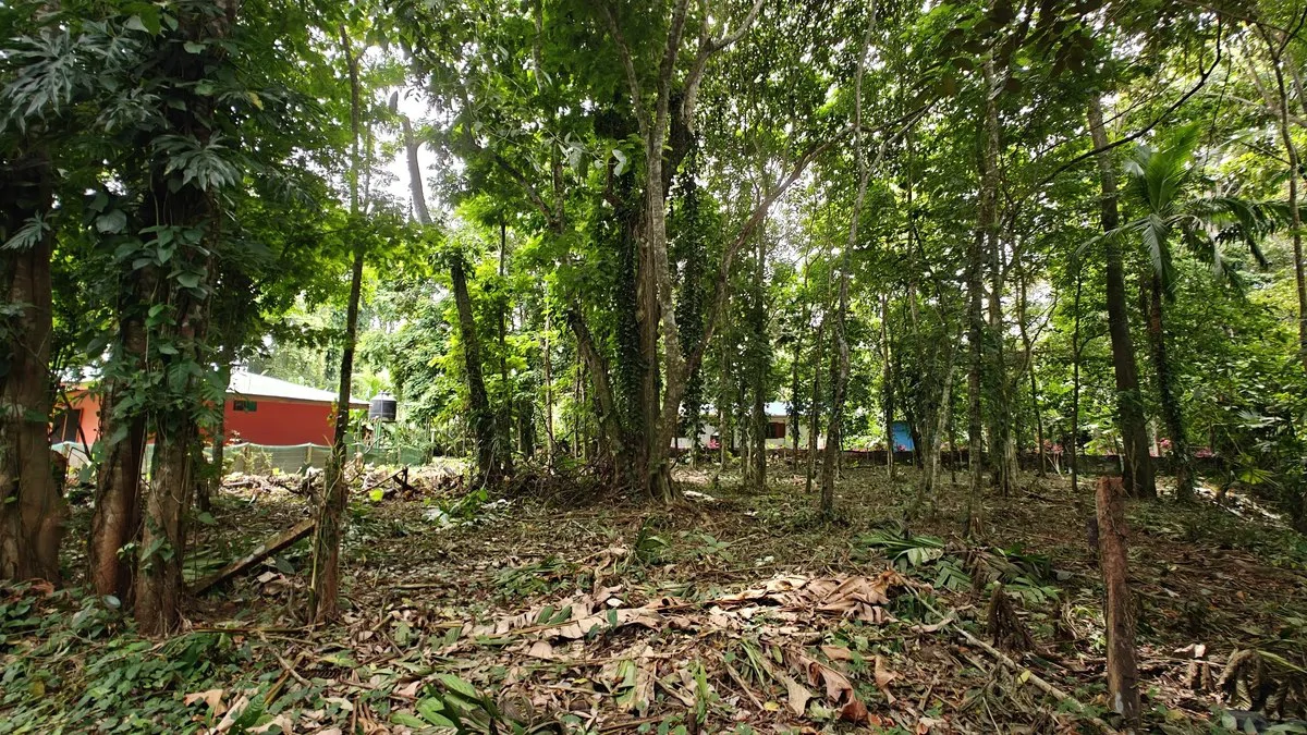 ID 948:: Titled 1259 sqm Lot - 600 Meters From Cahuita National Park - Gallery image 2