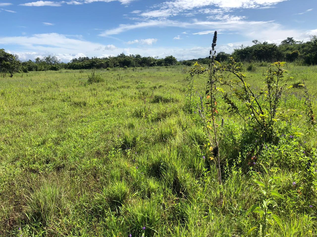 Great investment opportunity, property adjacent to Liberia Airport - Gallery image 14