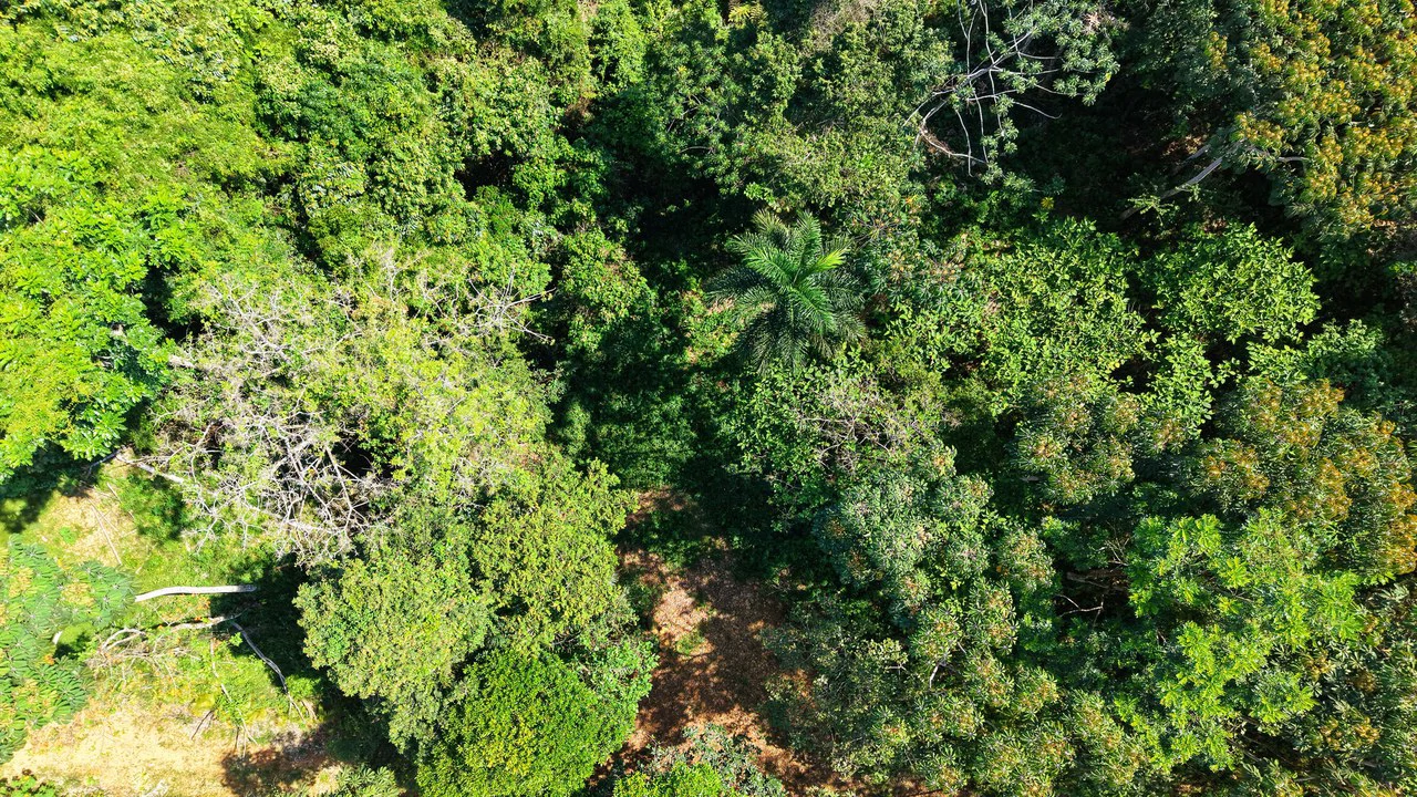 Countryside Home Construction Site For Sale in Cajón - Gallery image 2