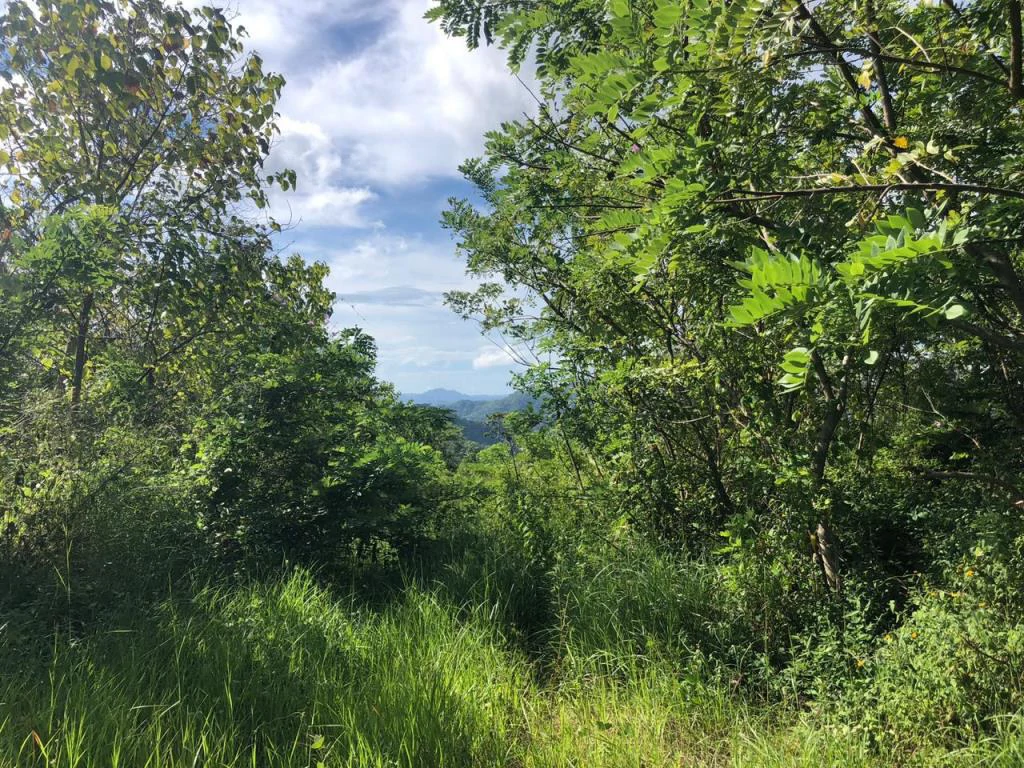 Ocean View Property with Panoramic Views on the Pacific Gold Coast – Guanacaste - Gallery image 14