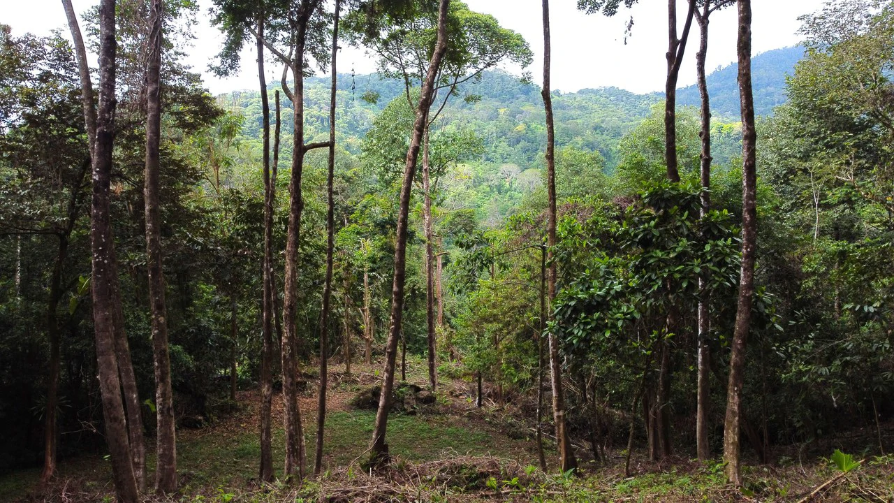 Mountain View Building Lot in Prestigious Gated Community With Private Waterfall & Two Building Sites: Mountain Home Construction Site For Sale in Portalon - Gallery image 4