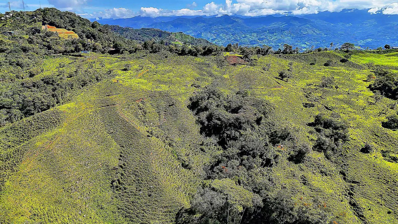 Mountain Agricultural Land For Sale in Alto San Juan - Gallery image 7