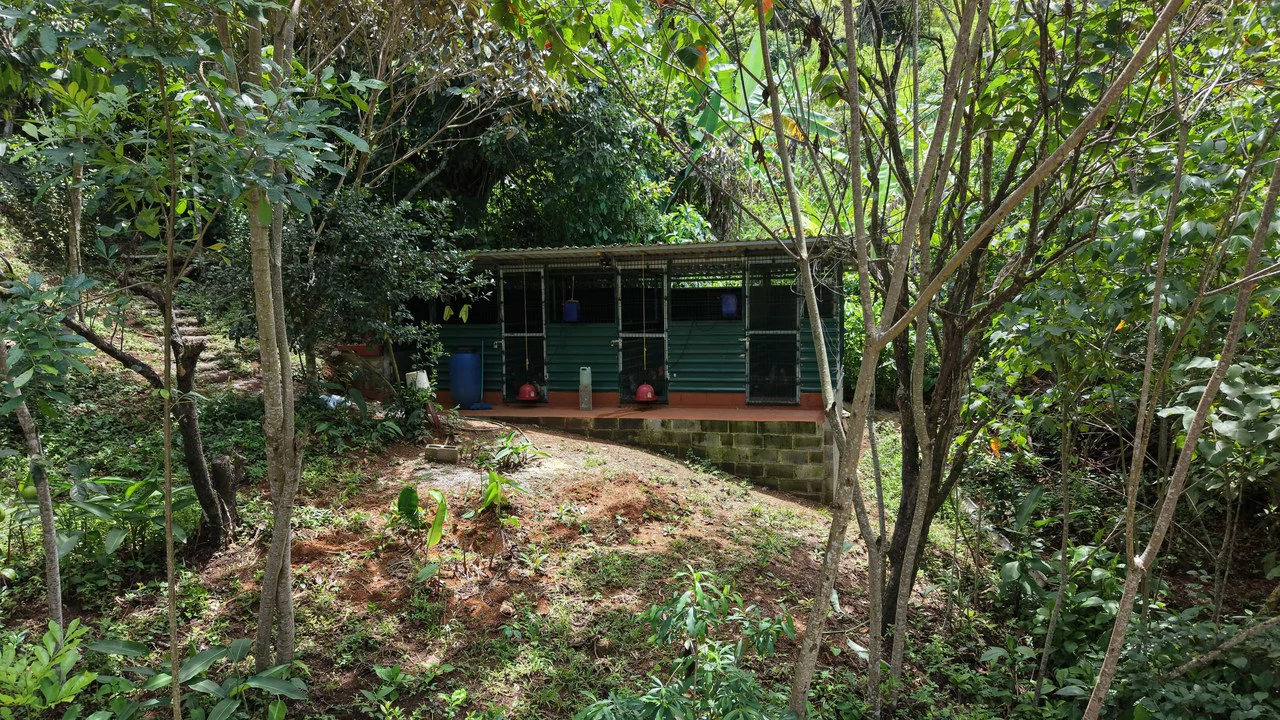 Mountain House For Sale in San Isidro del General - photo 30