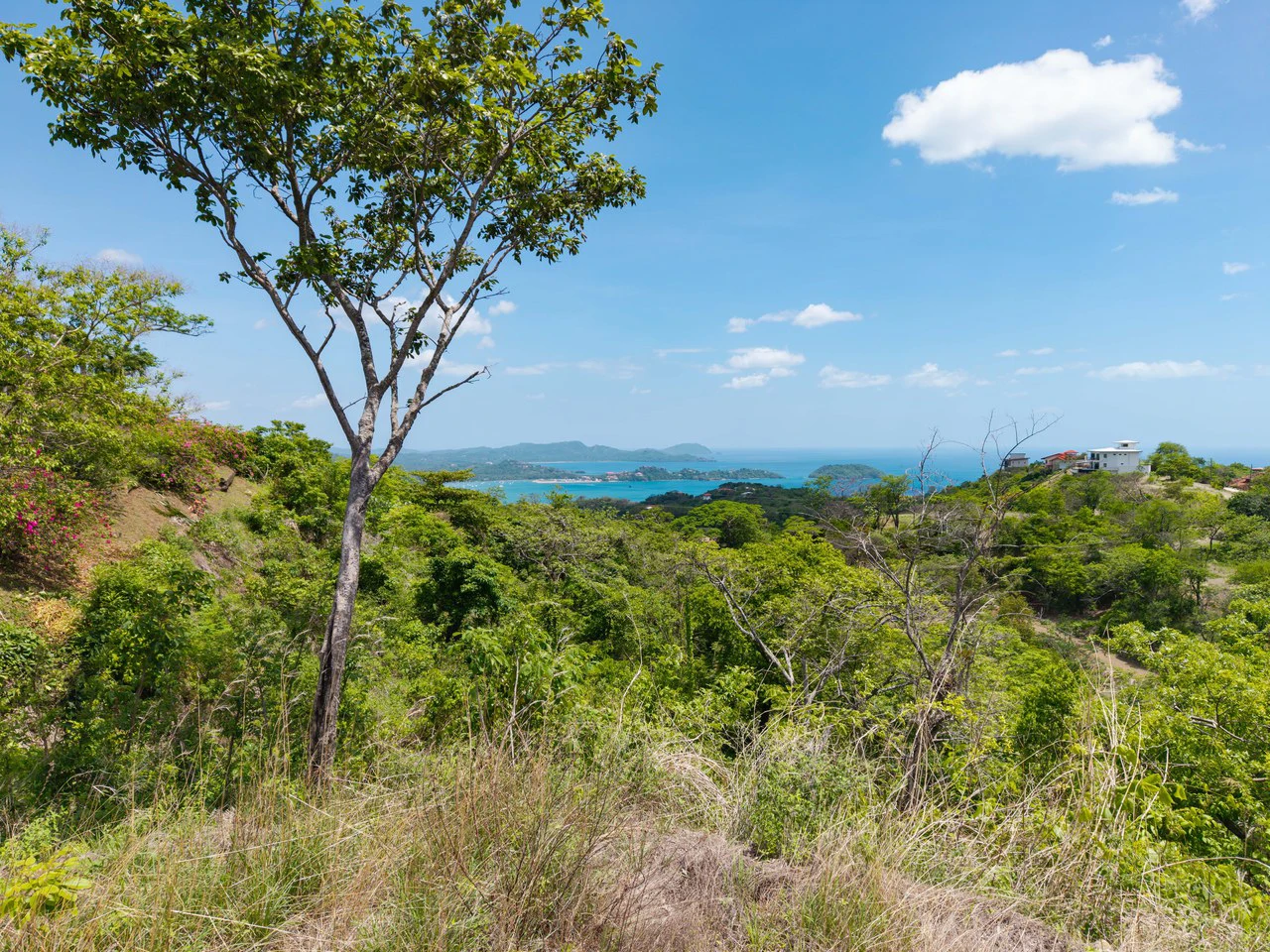 Miramar Ocean View Lot: Unmatched Views from this Spectacular Piece of Land in Pacific Heights - Gallery image 10