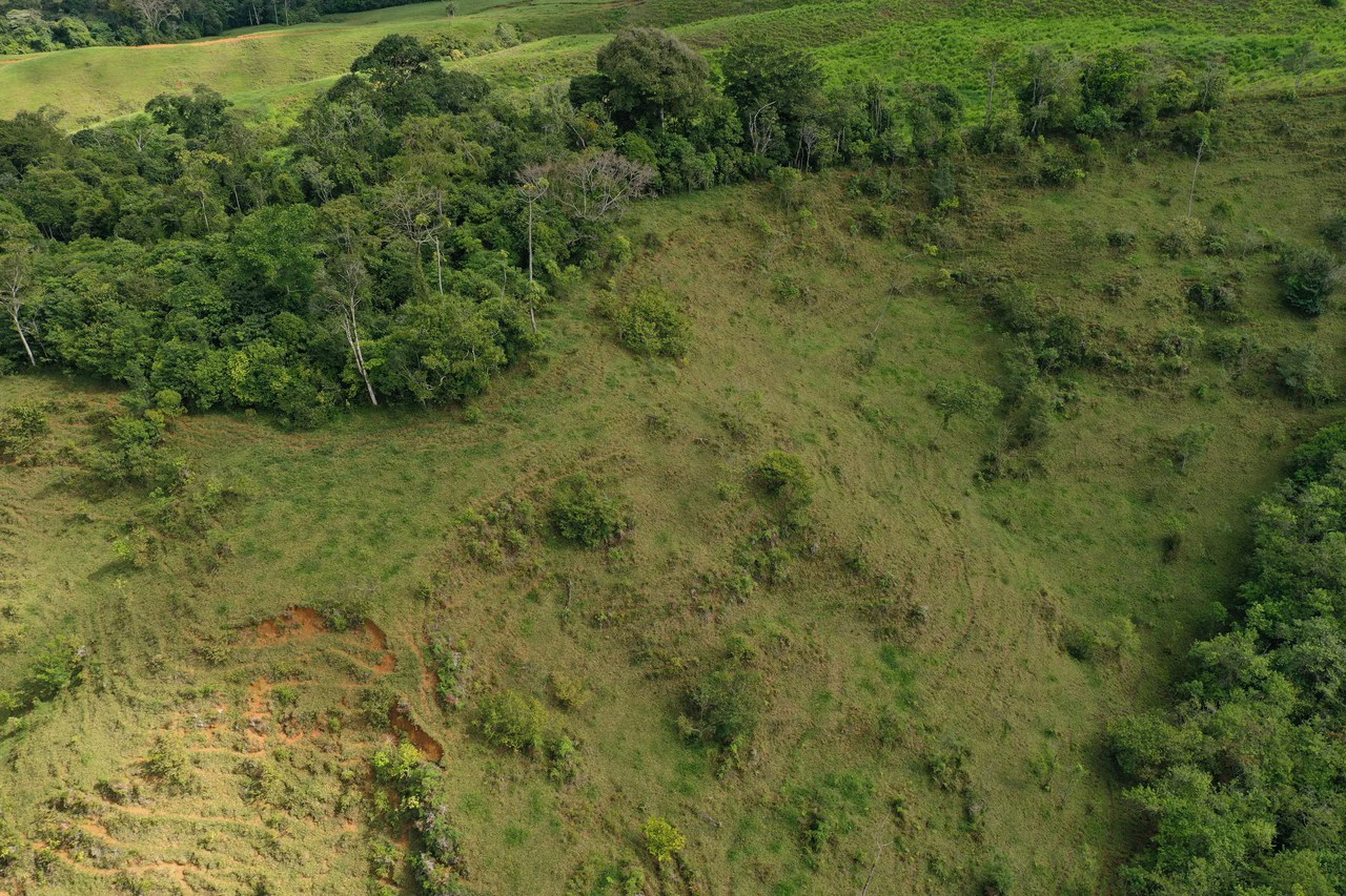 47 Acre Off Grid Ranch with Ocean & Mountain Views San Lorenzo Perez Zeledón - Gallery image 11