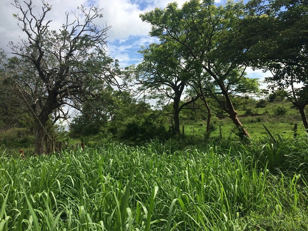 Mountain Property for Sale with charming 360º views of Guayabos Valley and the Volcanoes - Gallery image 6