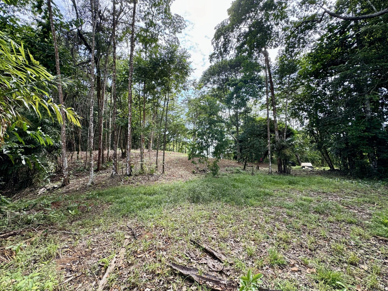 5.11 ACRES – Ocean And Mountain View Estate Property, Several Flat Buildable Areas, Legal ASADA Water!!! - Gallery image 5