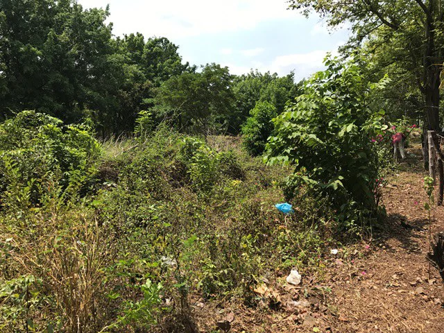 Great property in Santa Cruz: Excellent opportunity to develop in excellent location - Gallery image 13