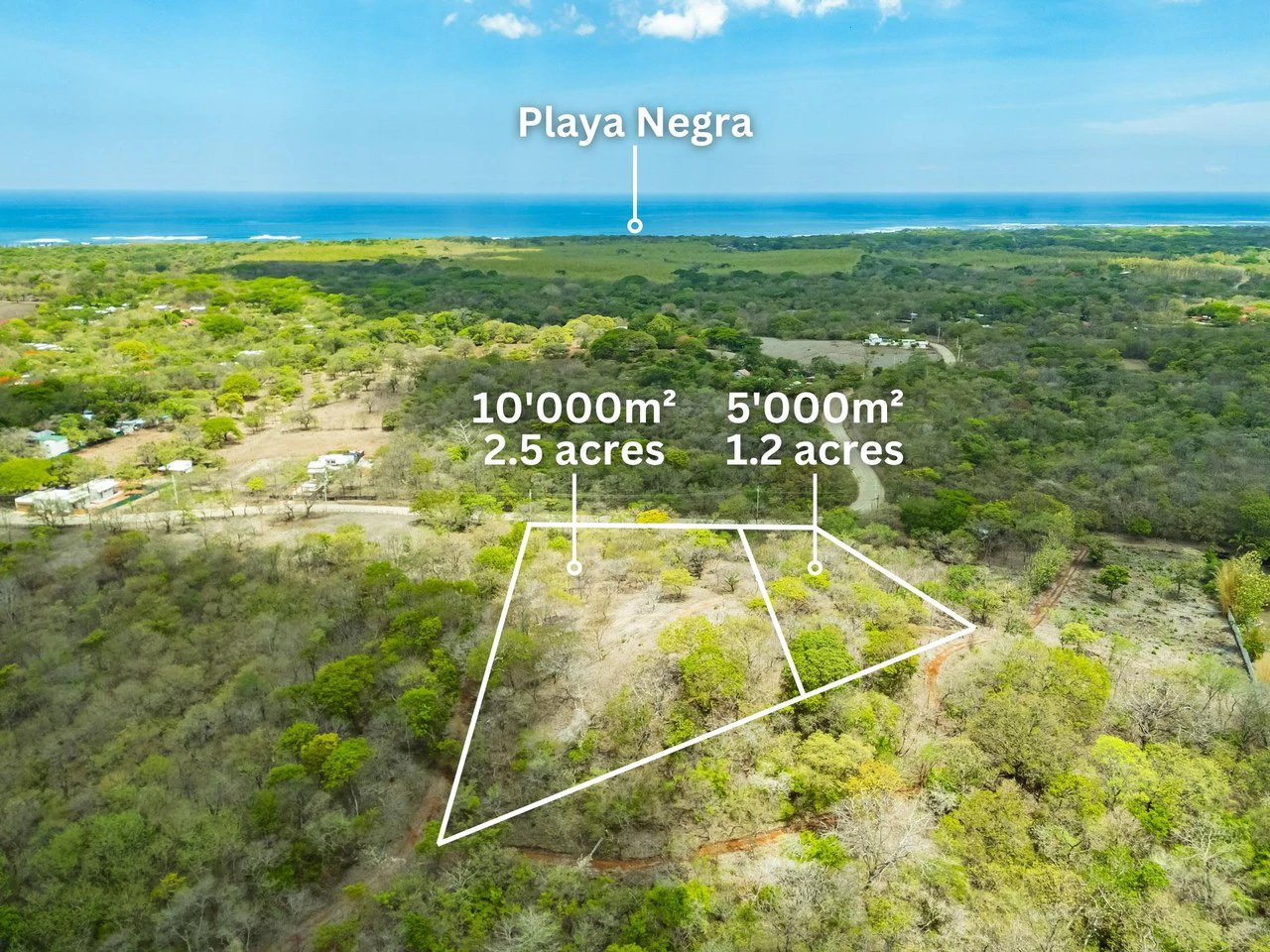 Pura Jungla Lots: Expansive Lots with Water Availability in Los Pargos - Gallery image 19