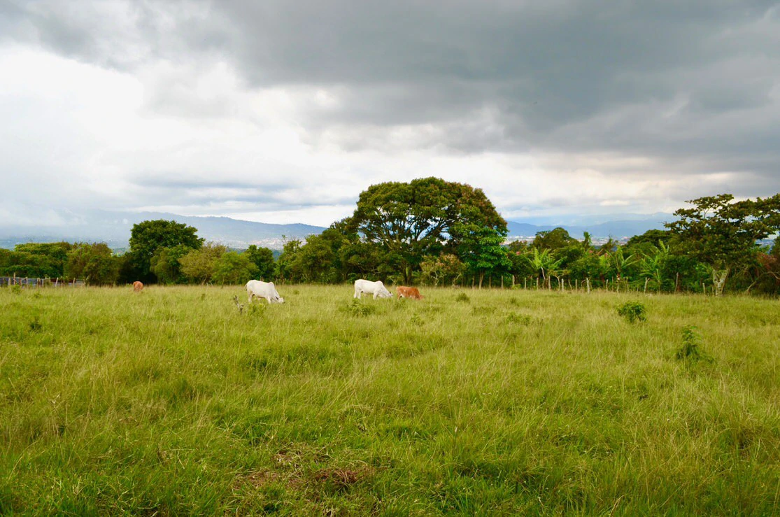 Lote con hermosas vista al valle central Costa Rica: Land for sale in Heredia San Isidro Heredial. - Gallery image 7