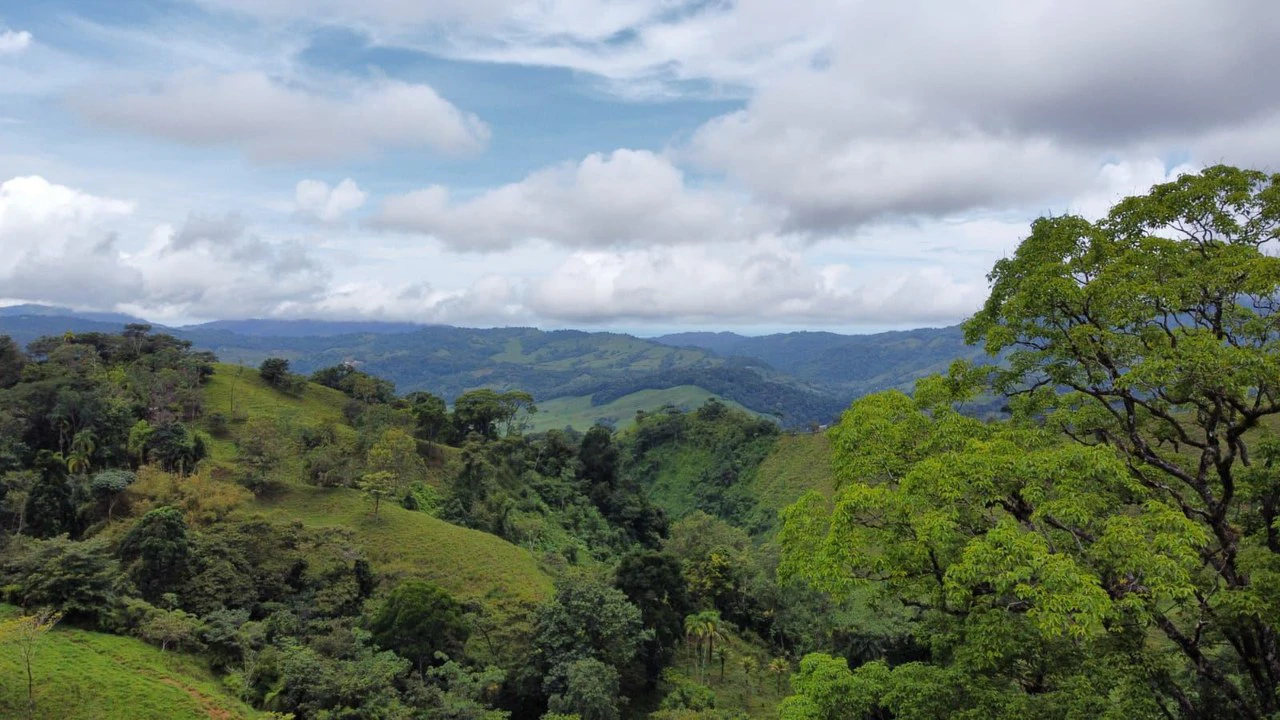 Se vende 39ha en Barú, Perez Zeledón: Mountain Home Construction Site For Sale in Barú - Gallery image 10