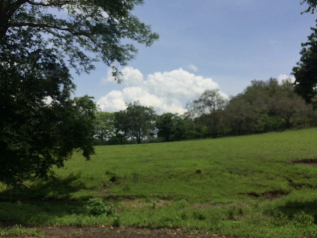 Propiedad de 79 hectáreas: Property of 79 hectares, located in Canas Dulces Liberia. - Gallery image 8