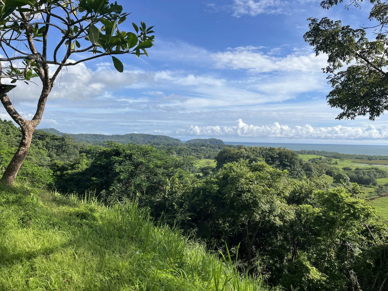 Oceanfront Home Construction Site For Sale in Playa Coyote - Gallery image 10