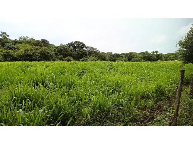 Amazing building property for sale 5 minutes away from Liberia center and 2 minutes walking to the Colorado River - Gallery image 21