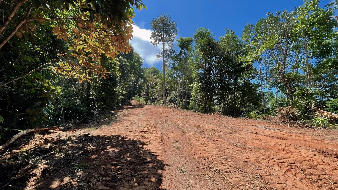 FINCA CERRO DEL TIGRE! OVER 20 ACRES OF PRIMARY FOREST AND WATERFALLS.: Mountain Agricultural Land For Sale in La Unión - Gallery image 17