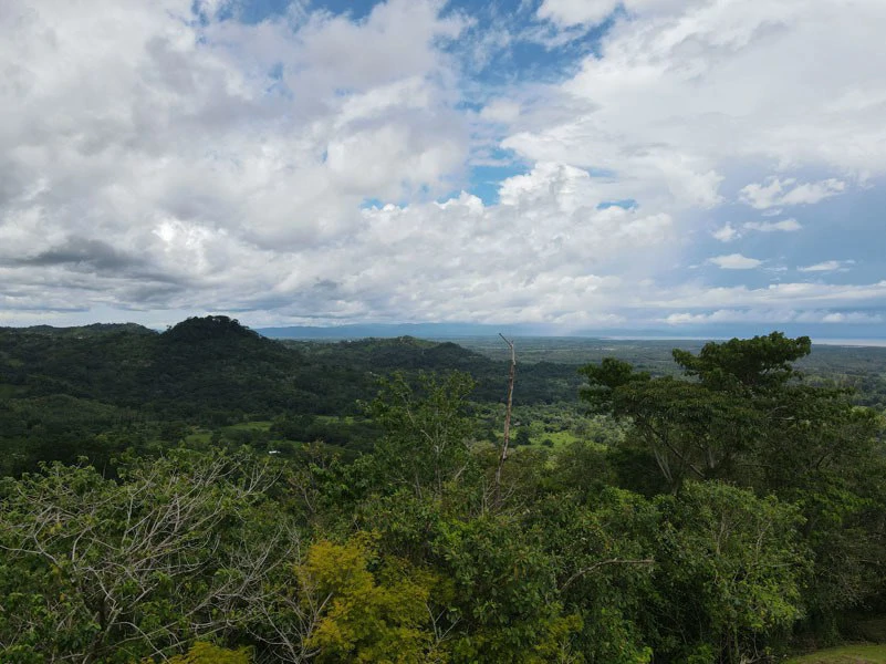 Panoramic 180 Degree Ocean View Lot Ready To Build Close To Ojochal - Gallery image 27