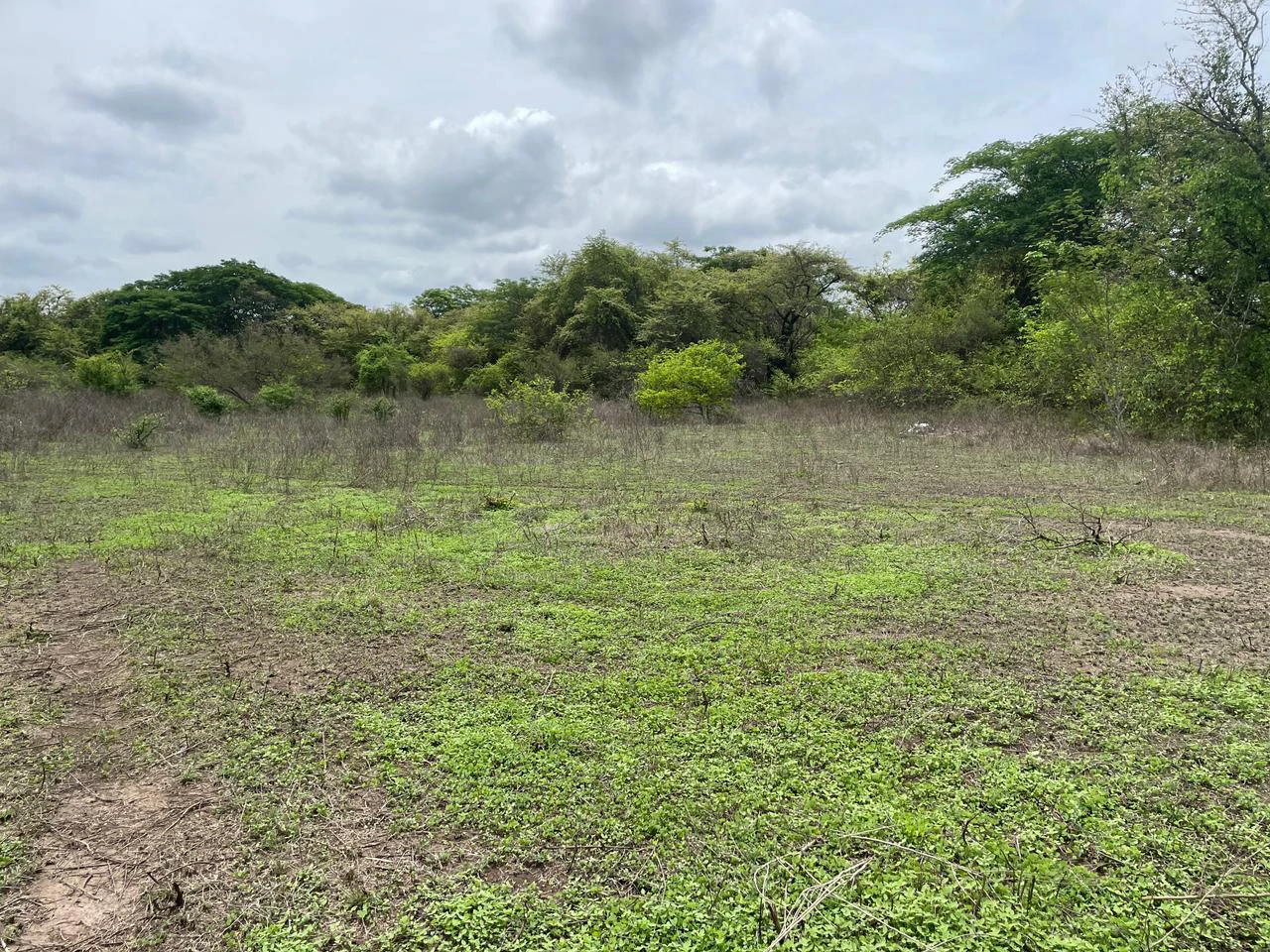 BEST PRICE! For sale comercial Property for warehouses or free zone, 1 km from Liberia Airport, Guanacaste, CR - Gallery image 7