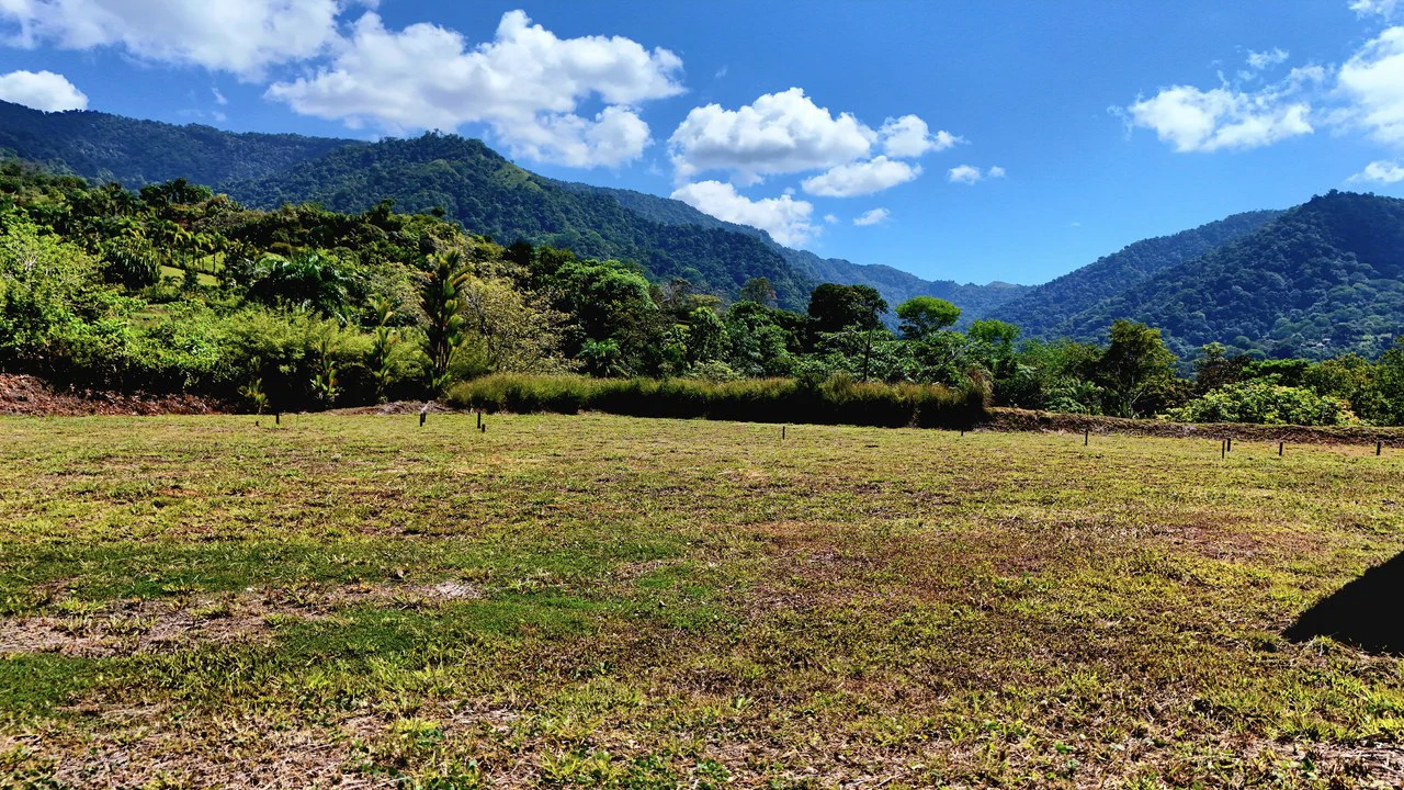 Ocean View Property with River & Waterfall Access – Tres Ríos de Osa - Gallery image 7