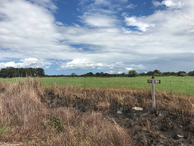 Large Development Land for Sale in Liberia, Guanacaste, Costa Rica - Gallery image 60
