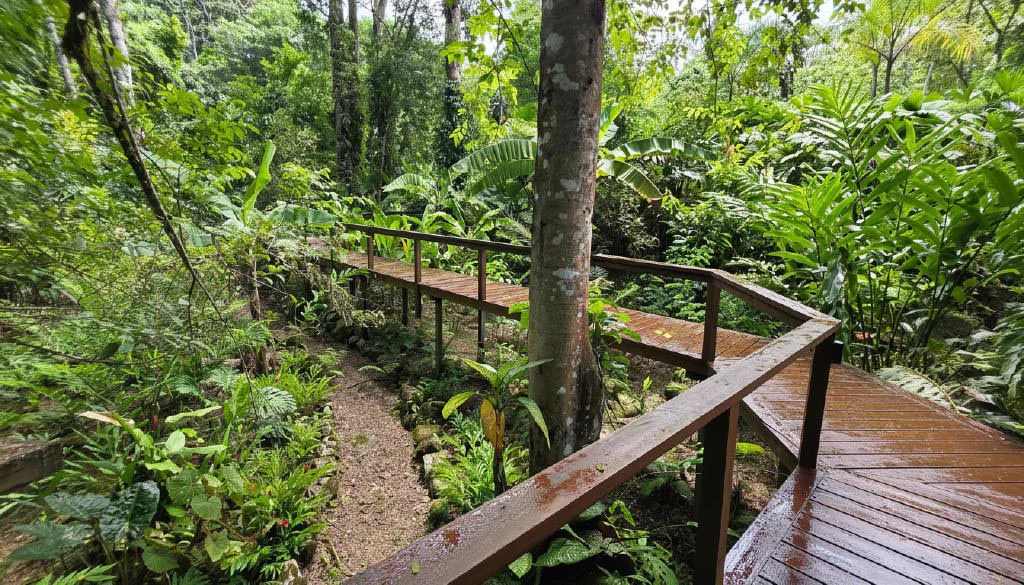 Jungle River Resort: Boutique Jungle River Resort with Pool, Restaurant & Cabinas in Ojochal - Gallery image 13