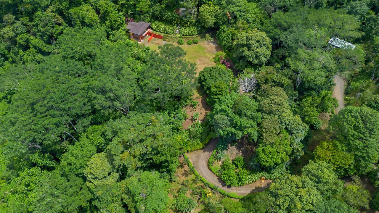 Build-Ready Ocean View Land with Guest House & Fruit Orchard | Tres Rios, Costa Rica - Gallery image 22
