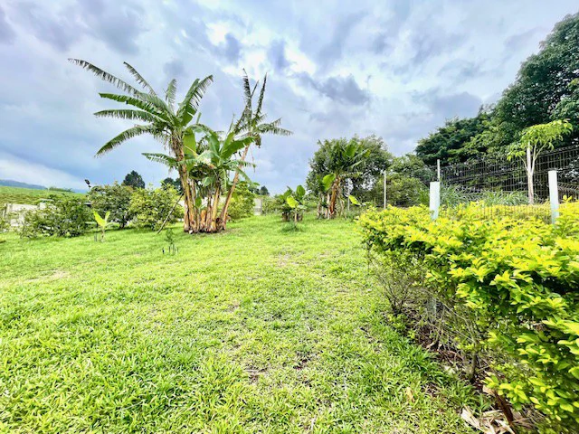 CA-005 Casa del Invernadero: Premium 3-BR / 3.5-BA Gated Estate in Grecia | Turnkey Furnished Option, Private Greenhouse, Clay Roof & River Access - Gallery image 37
