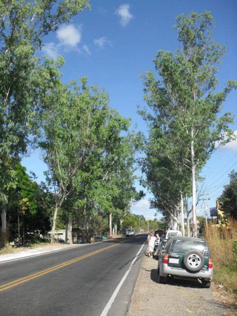 Sale commercial lot in front of the transito Liberia Guanacaste - Gallery image 10