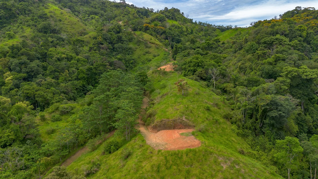60+ Hectares in Platanillo | Own Your Own Mountain in Costa Rica - Gallery image 36