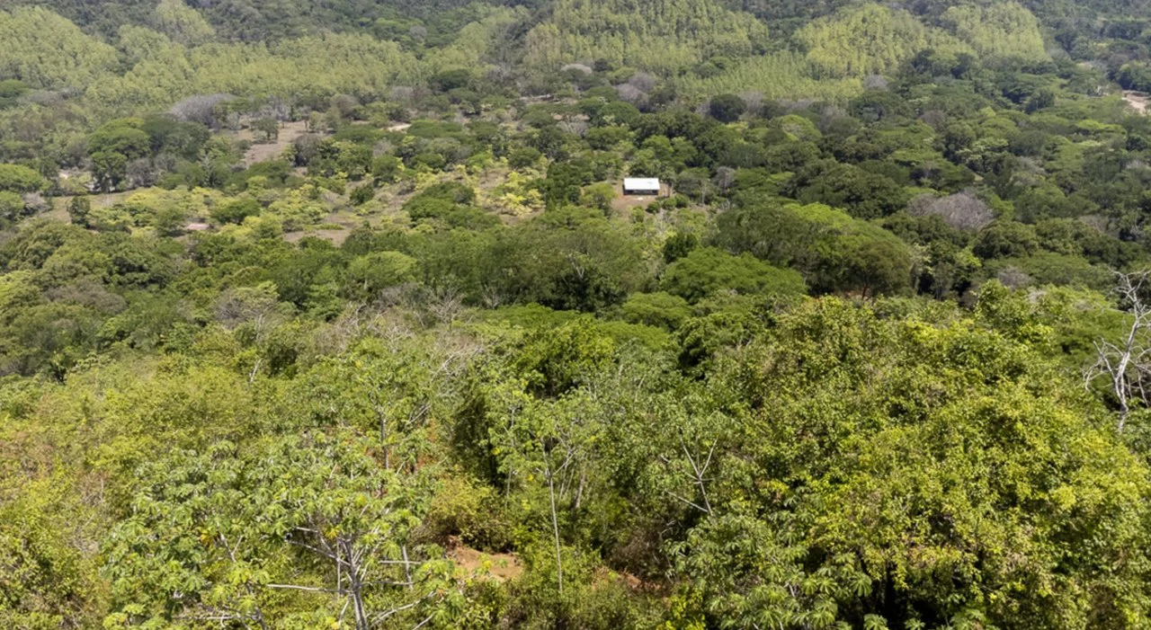 Farm for sale in Puntarenas Lepanto Costa Rica - Gallery image 7