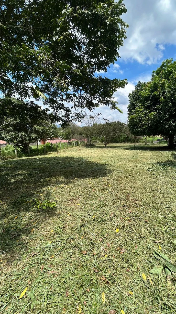 Calas Mixed Uso: 2,000 m2 Lot for Apts, Commercial or Bodegas!