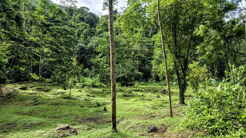 Waterfall Estate, Dos Bocas, Dominical Featuring Twin Waterfalls, Springs, Creeks & Rivers - Gallery image 16