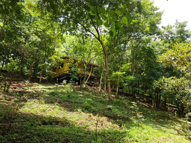Nosara's Brand New Top Villas as a Business Opportunity in the dense forest of catchment area, 7 villas for sale in Costa Rica's Healthy Blue Zone - Gallery image 15