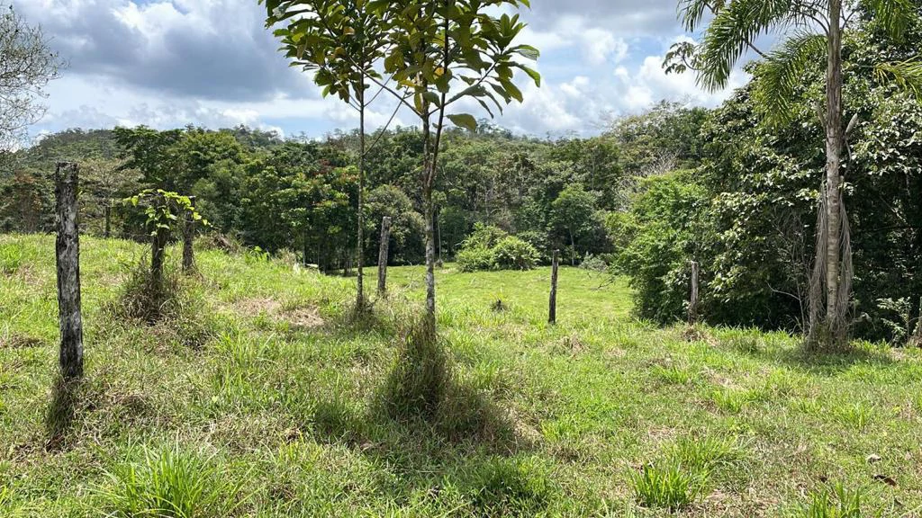 Building potential property for sale, beautiful land in the pure nature close to Bijagua - Gallery image 17