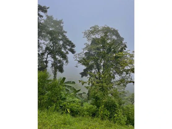 SPECTACULAR ECOLOGICAL MOUNTAIN FARM IN BIJAGUAL DE TURRUBARES - Gallery image 22