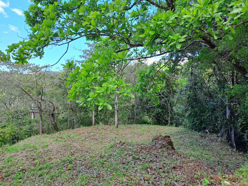 Lotes Mirador: Lotes Mirador, Breathtaking Lots with Stunning Ocean and Mountain Views, Large Building Pads, just 30 minutes from Samara Beach - Gallery image 11