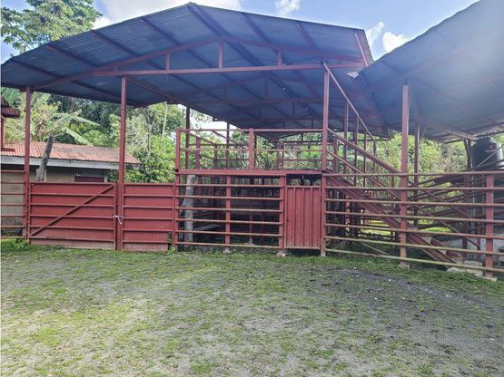 Serene Jungle Farm in Limon Province - Gallery image 52