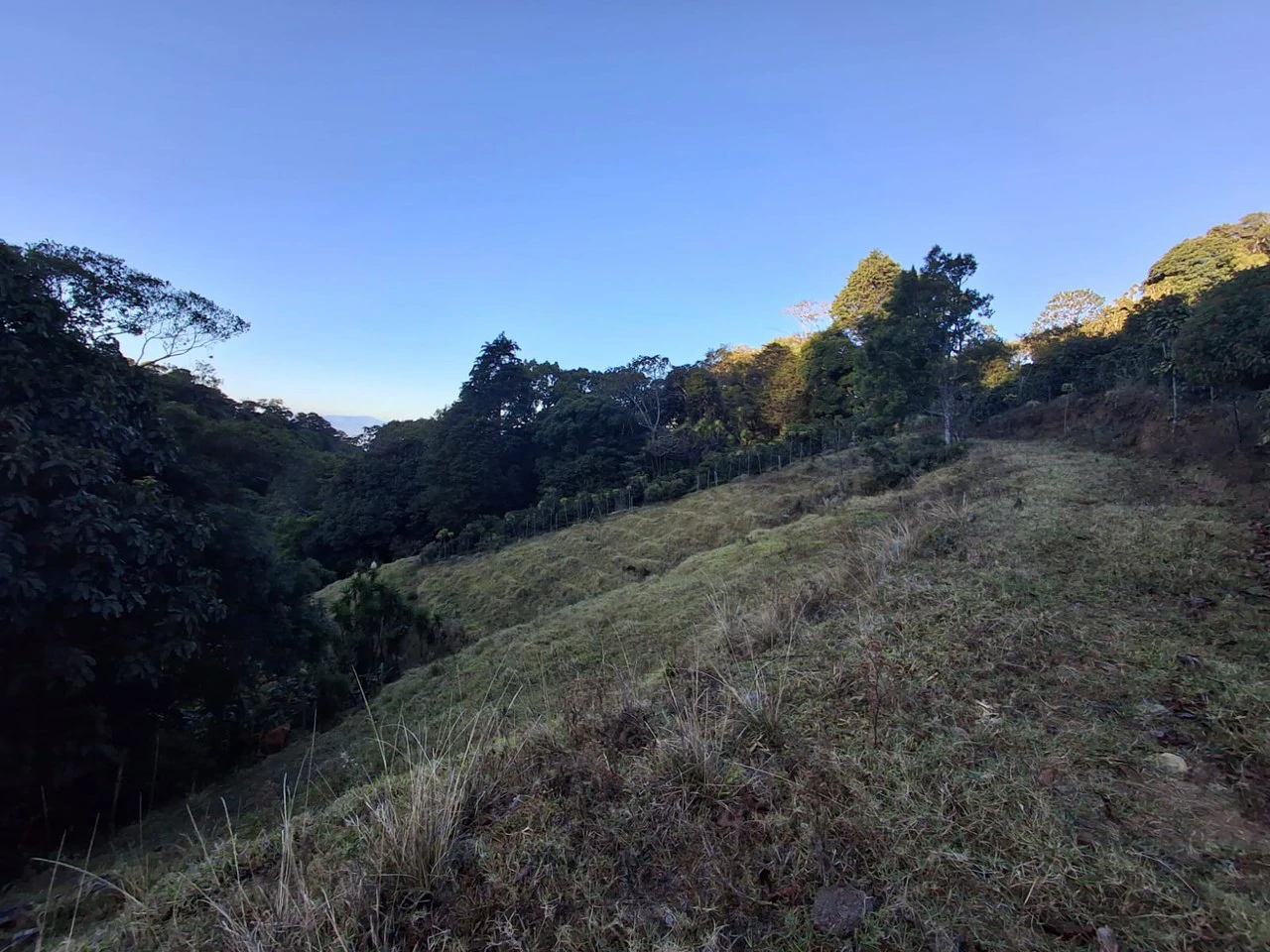 Cafetalero or Developer?: 25,378 m2 with Views of the Central Valley!! - Gallery image 5