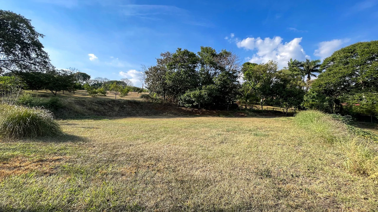 Lot in Barrio San José Sur , Atenas – Strategic Location - Gallery image 12