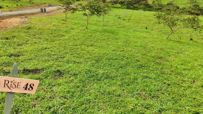 lote 48 RISE: BEAUTIFUL LOT FOR SALE IN THE HEART OF RISE COSTA RICA WITH CREEK (63,475 SQFT) - Gallery image 3