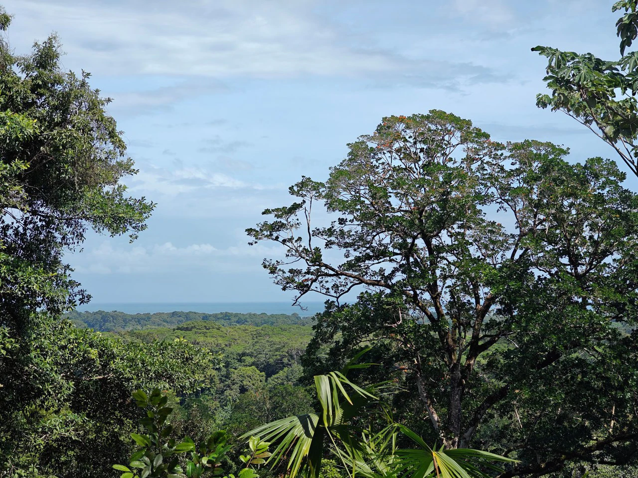 61,618m² of Land near Cahuita: With Existing Infrastructure and Ocean View - Gallery image 5
