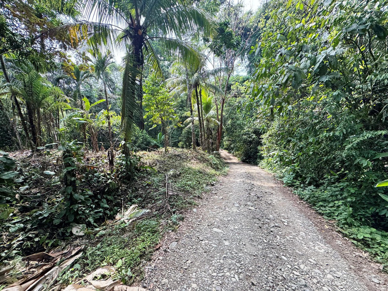 1 Acre Jungle Lot with River in Playa Dominical - Gallery image 4