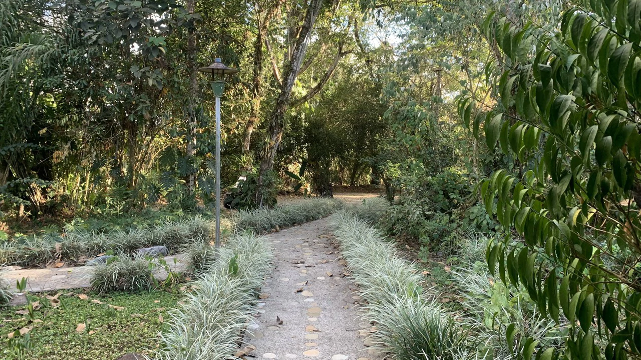 Talari Hotel: Nature and Bird Lover's Paradise - Mountain Lodge - Gallery image 34