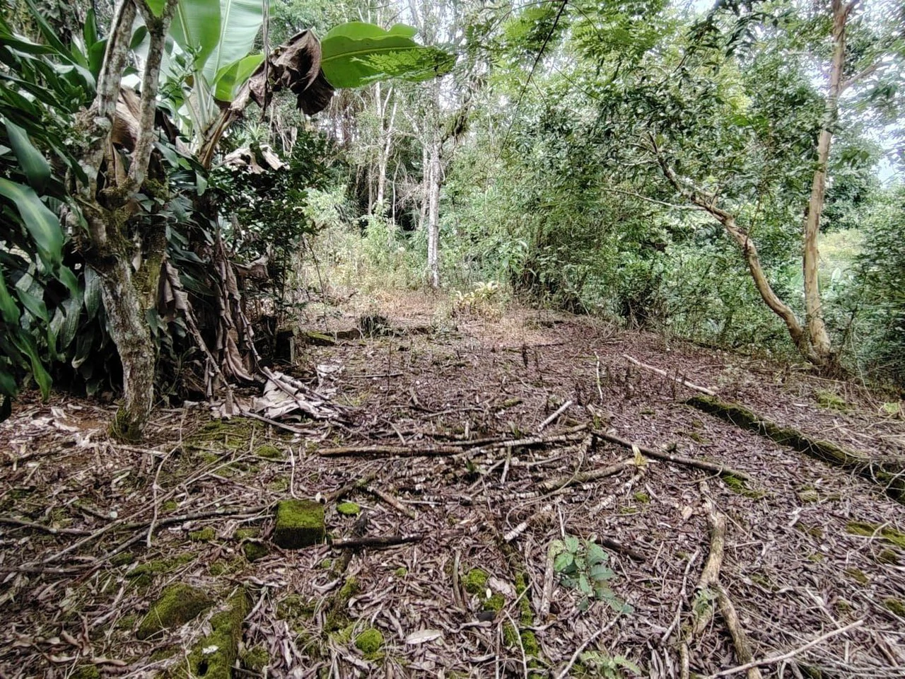 Home Construction Site For Sale in General Viejo - Gallery image 18