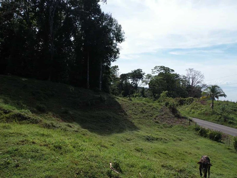 69.16 Acres Property | Mountain & Top Ocean View with Small Home - Gallery image 13
