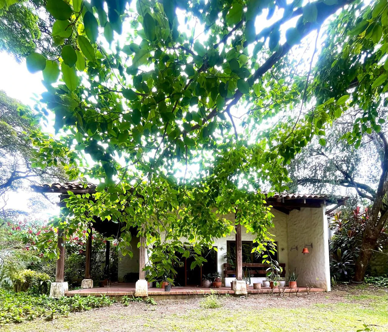 House to Remodel with 1,700 sq m of Land in Pozos, Santa Ana - Gallery image 12