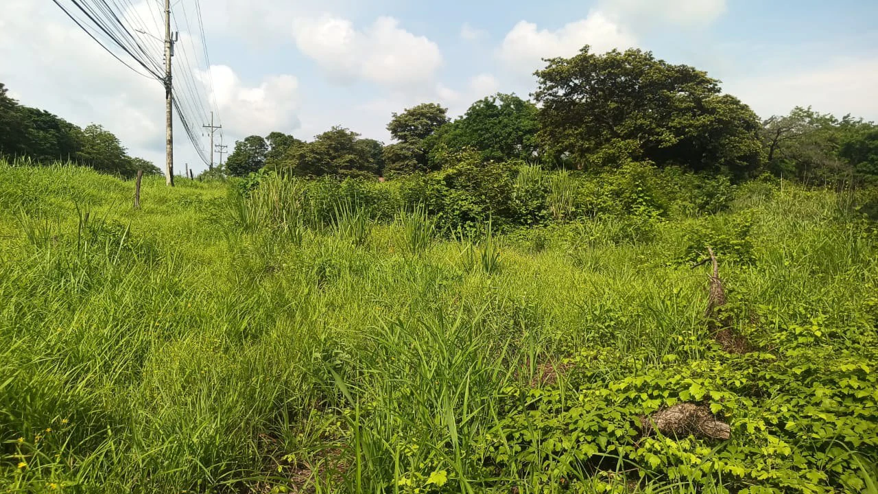 Airport Liberia property with very wide direct frontage on High - Traffic Route 21 to the Beaches - Gallery image 4