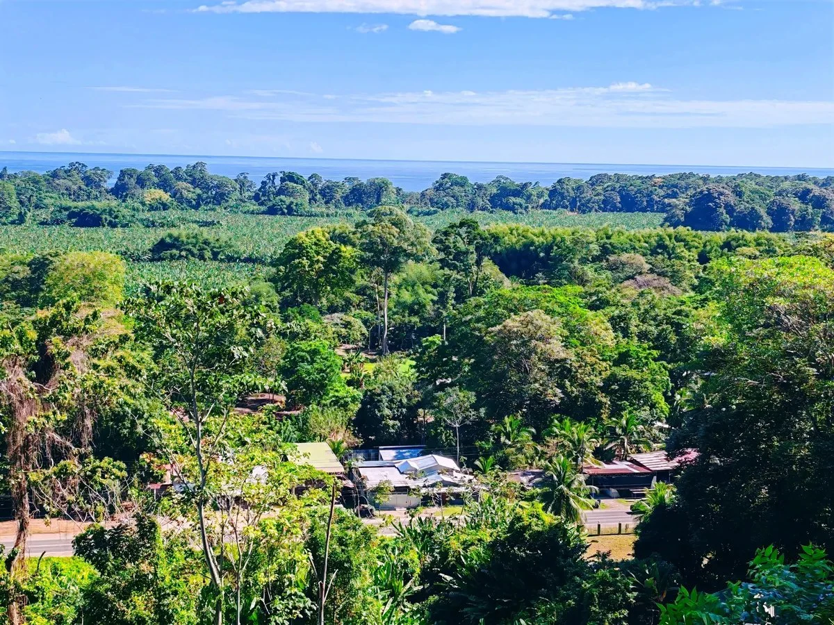 ID 642: Maramar Caribe - Ocean View Land Near Puerto Viejo & Cahuita - Gallery image 2
